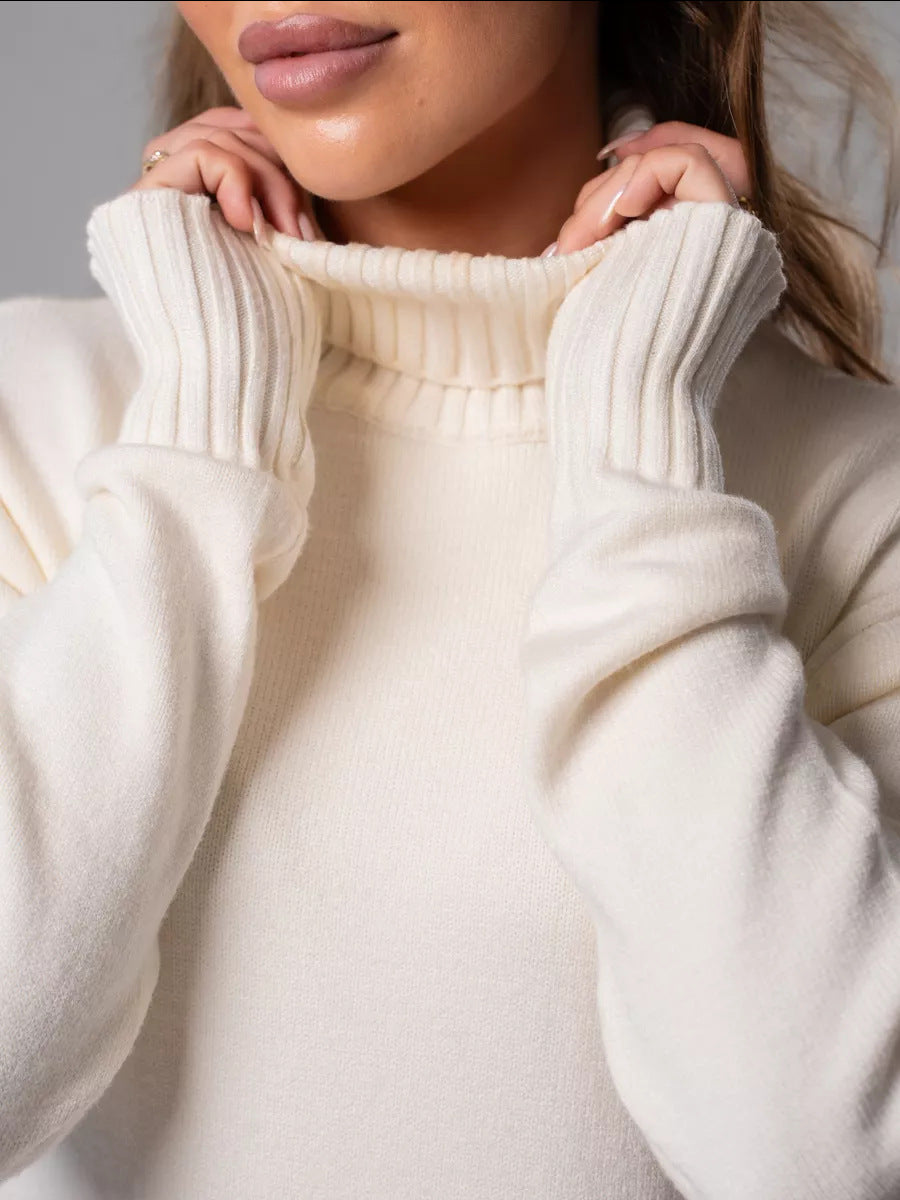 Margo & Main – turtleneck knit sweater dress, back view, US women's sizes