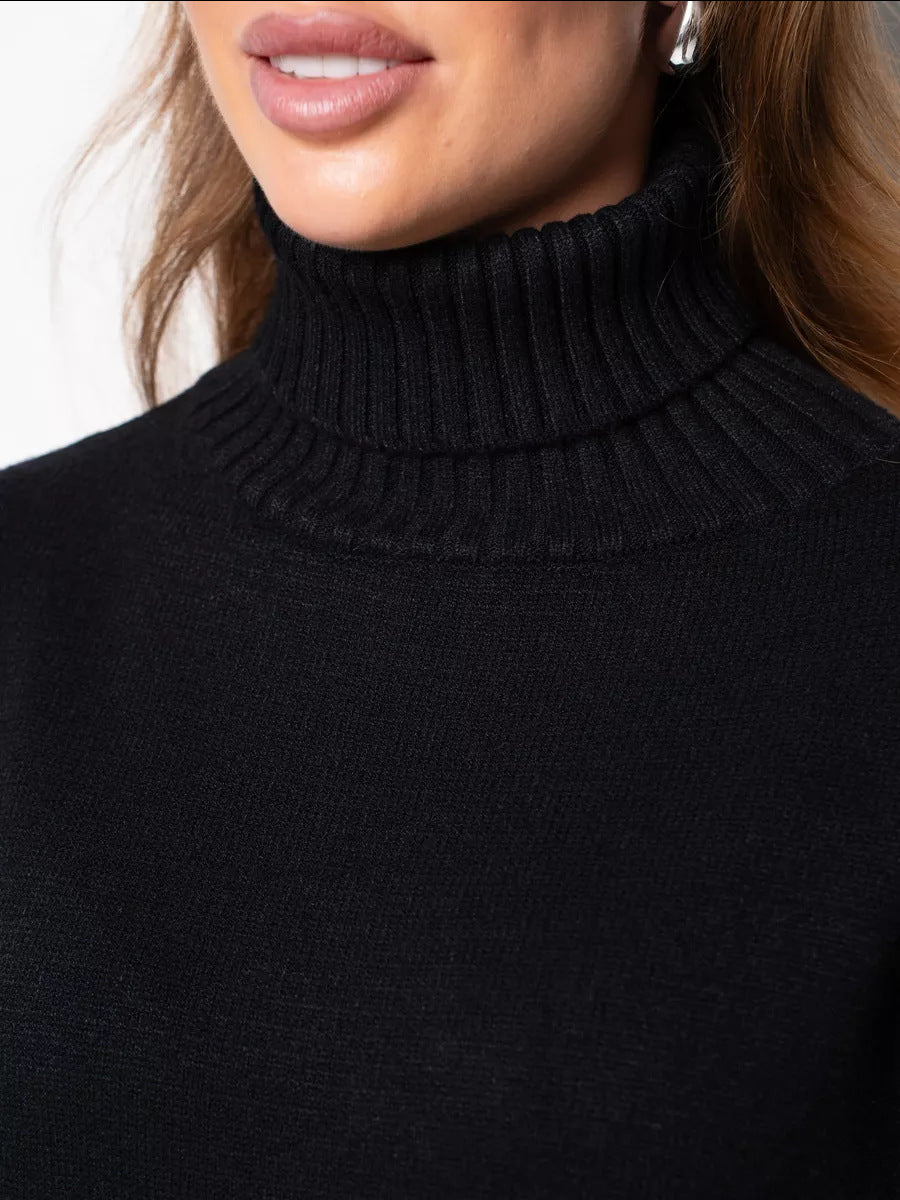 Margo & Main – turtleneck knit sweater dress, additional view 17, US women's sizes